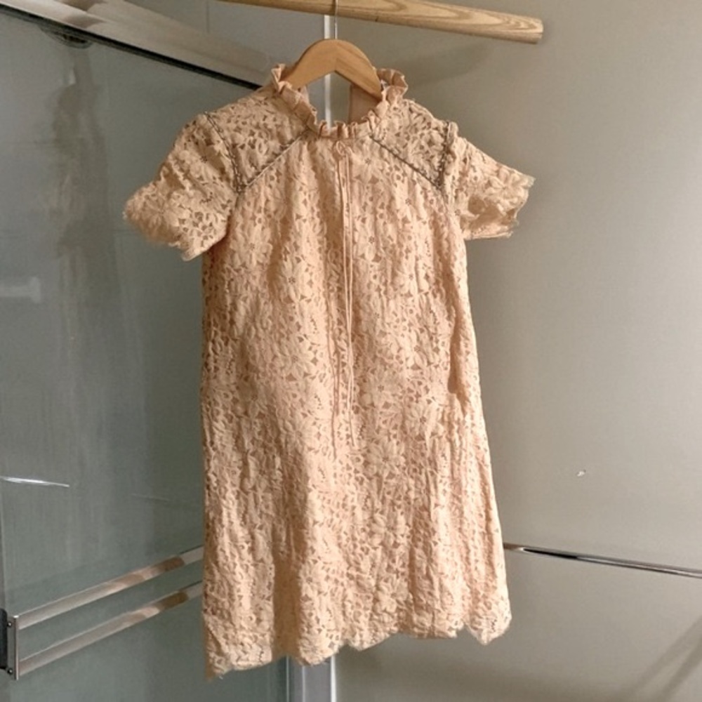 Sandro Paris Lace Mini Dress